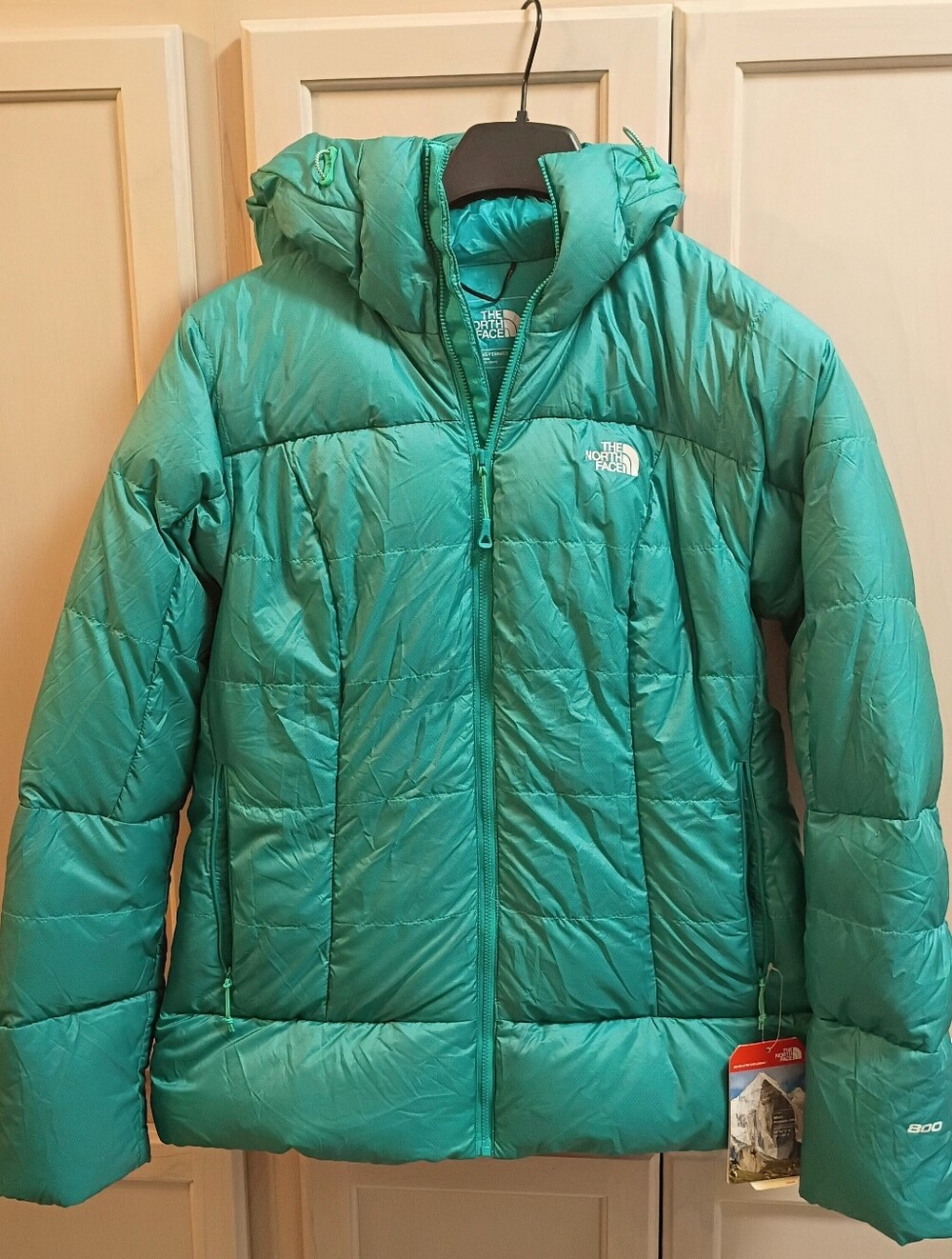 NWT The North Face 800-Fill Prospectus Down Jacket • Size Large (Kokomo Green)
